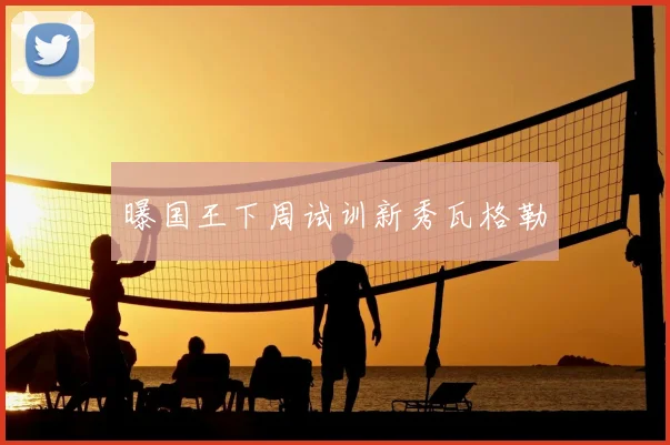 曝国王下周试训新秀瓦格勒