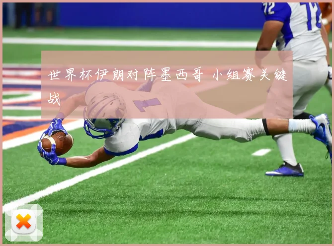 世界杯伊朗对阵墨西哥 小组赛关键战